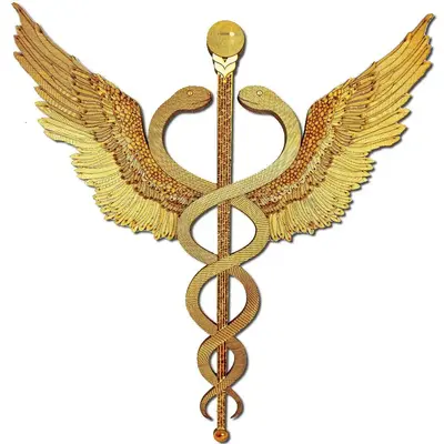 Multilayered Wooden Caduceus Wall Art