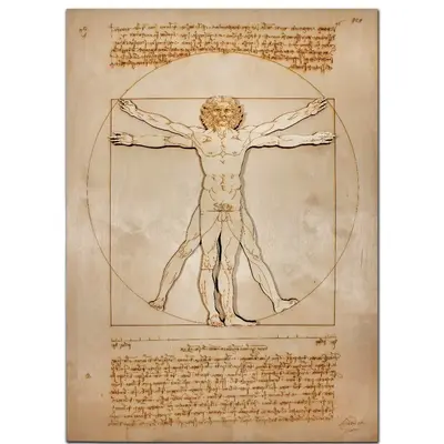 Vitruvian Man Multilayered Wood Art